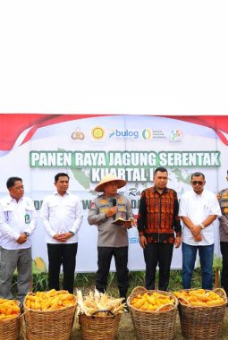 berita-rekomendasi-foto