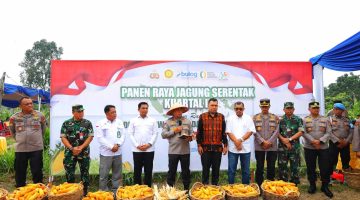 Kapolda Riau Pimpin Panen Raya Serentak Kuartal III 2025, untuk Ketahanan Pangan