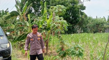 Polsek bluluk patroli p2b dalam upaya komitmen nyata dukung ketahan pangan bergizi di wilayah bluluk.