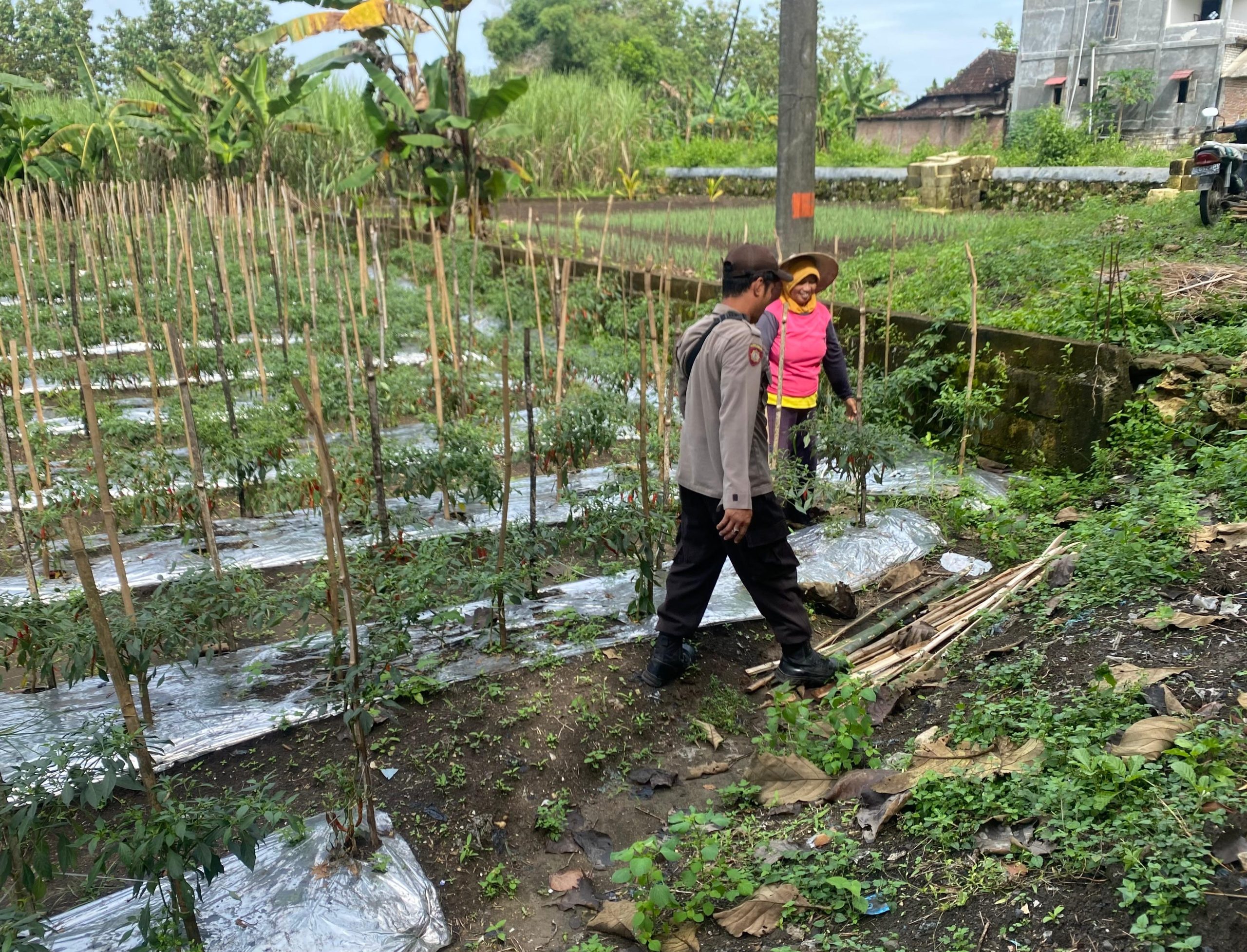 Polsek sambeng gelar patroli p2b dalam upaya komitmen kepedulian polri dalam mendukung program Asta cita presiden RI.