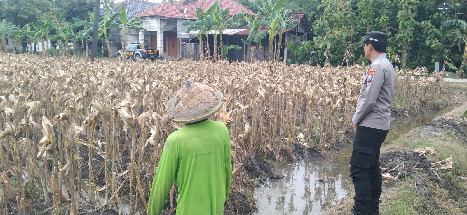 Polsek Sukorame melalui Polisi pendamping secara intens laksanakan monitoring kawasan lahan P2B milik warga dalam rangka dukung program astacita Pemerintah.